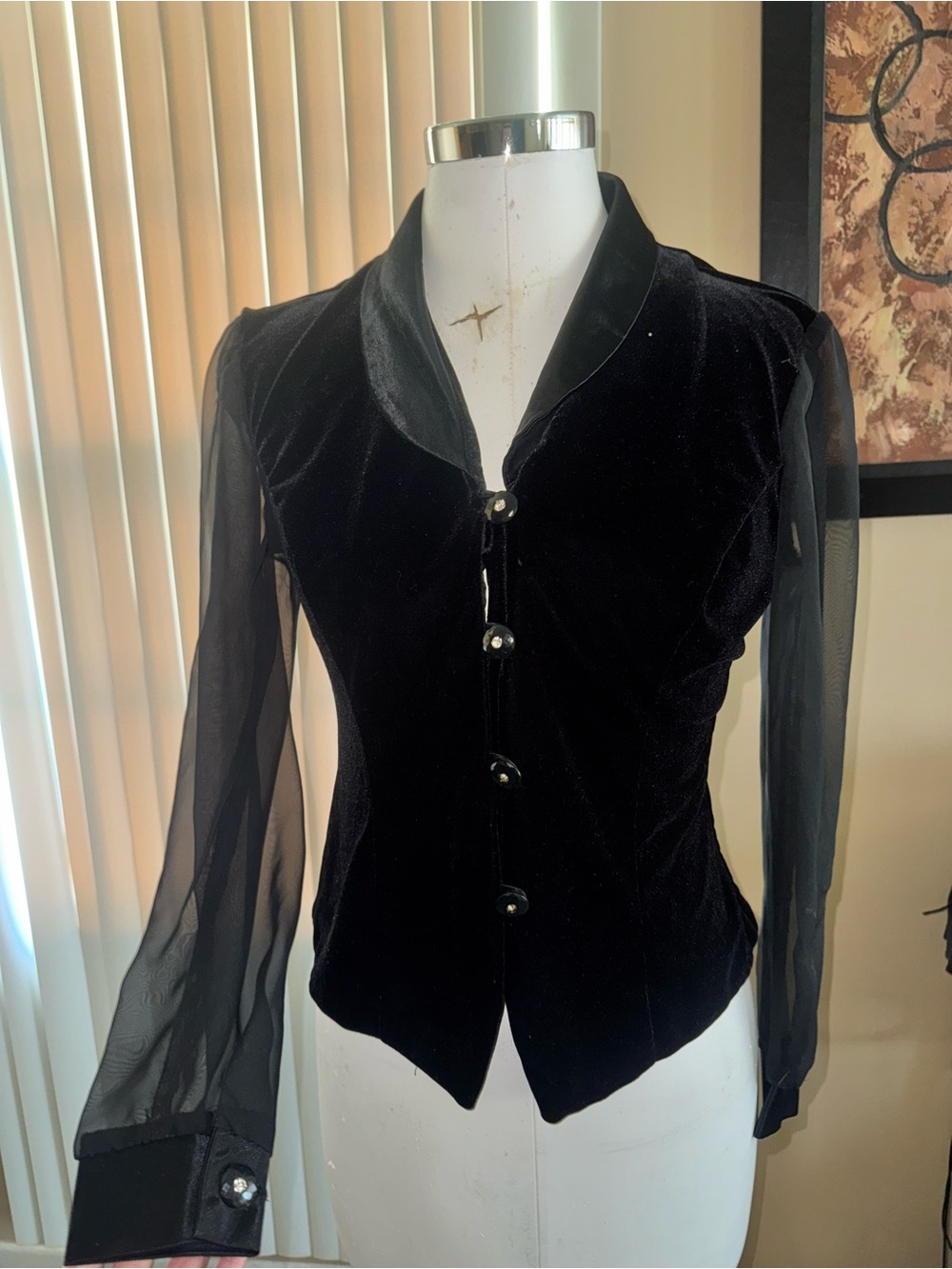 Whimsygoth vintage 90s Fashion Bug velvet blouse